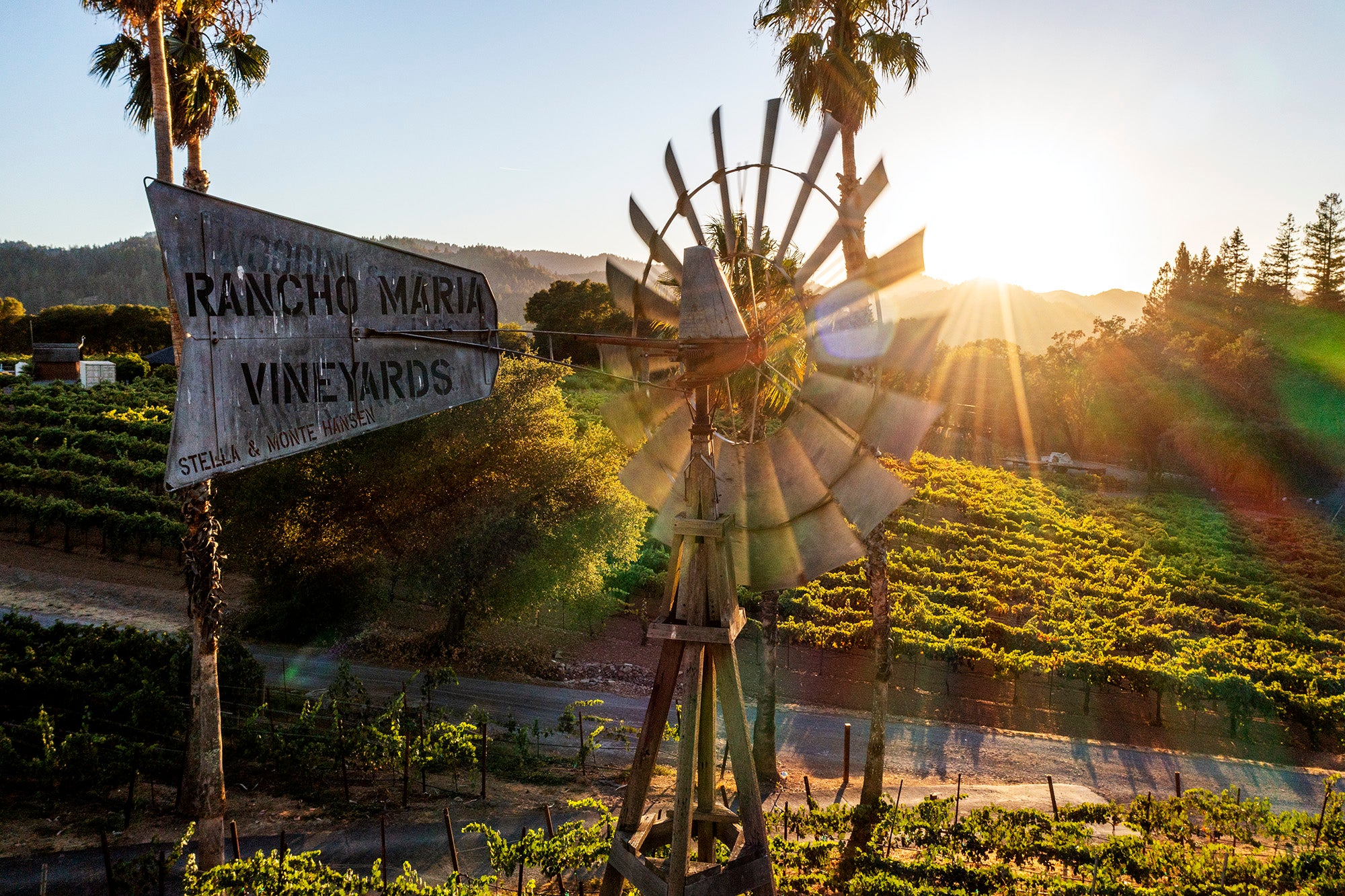 Visit RanchoMariaWines